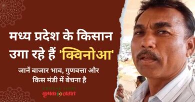 मध्य प्रदेश के किसान उगा रहे हैं सुपरफूड फसल ‘क्विनोआ'