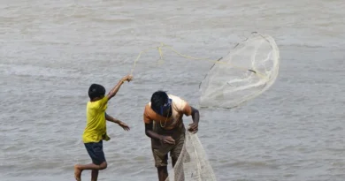 जयपुर में मनाया गया विश्व मात्स्यिकी दिवस, मत्स्य क्षेत्र और ब्लू इकोनॉमी पर हुई चर्चा  