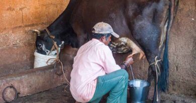 अवमानक मिश्रित दूध बेचने पर लगाया एक लाख का जुर्माना