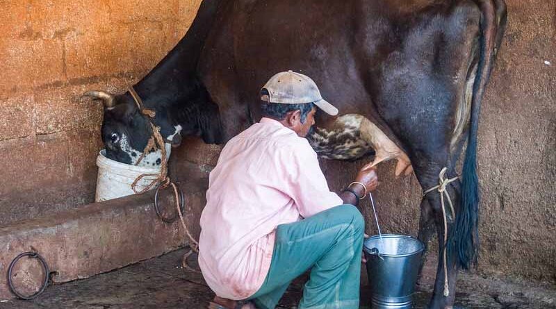 अवमानक मिश्रित दूध बेचने पर लगाया एक लाख का जुर्माना