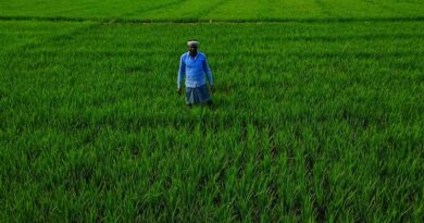 राजस्थान: कृषि शिक्षा में प्रोत्साहन राशि के ऑनलाइन आवेदन शुरू, इस तारीख तक कर सकेंगे आवेदन