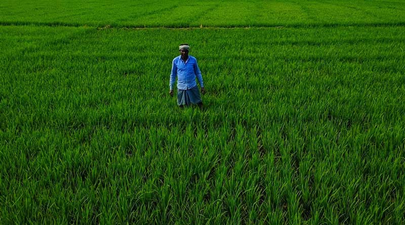 राजस्थान: कृषि शिक्षा में प्रोत्साहन राशि के ऑनलाइन आवेदन शुरू, इस तारीख तक कर सकेंगे आवेदन