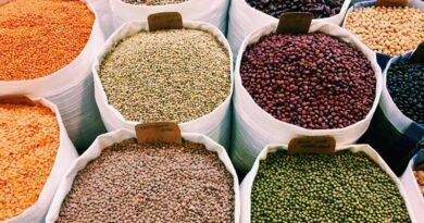 योगी सरकार किसानों को गुणवत्तापूर्ण बीज अनुदानित दरों पर उपलब्ध करा रही