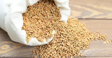 रायपुर: धान खरीद के लिए किसान पंजीयन की अंतिम तिथि बढ़ी, किसान 30 नवंबर तक करें पंजीकरण