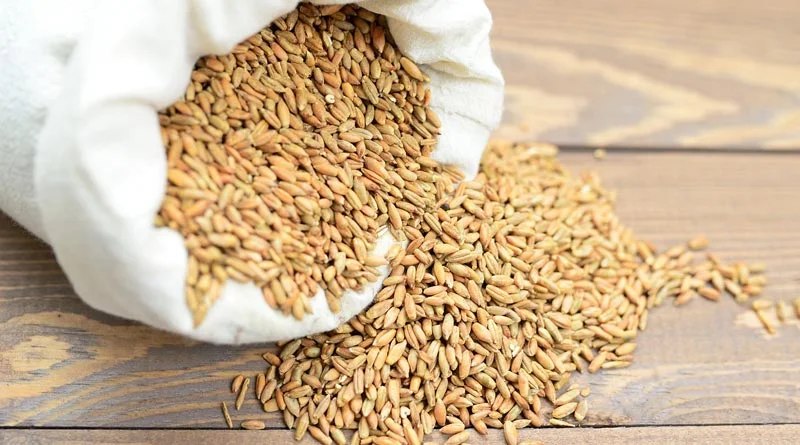 रायपुर: धान खरीद के लिए किसान पंजीयन की अंतिम तिथि बढ़ी, किसान 30 नवंबर तक करें पंजीकरण