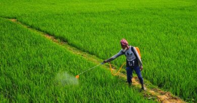 एनपीके 12:32:16 खाद की रैक शिवपुरी पहुंची