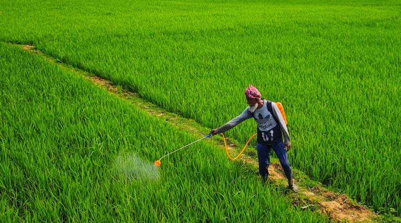 शिवपुरी जिले को आईपीएल कंपनी की 1650 मीट्रिक टन टीएसपी की खेप प्राप्त