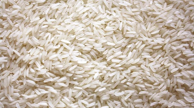 खरीफ सीजन में चावल का उत्पादन 1.4 फीसदी अधिक हुआ