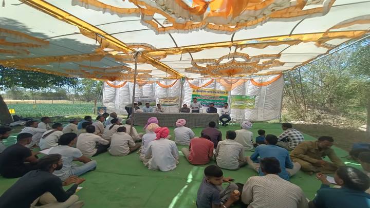 आगर मालवा का बहुफसली जैविक खेती मॉडल बना मिसाल