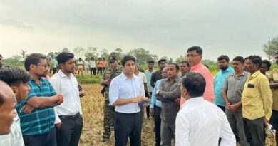 बालाघाट कलेक्‍टर ने किया फसल क्षति का निरीक्षण