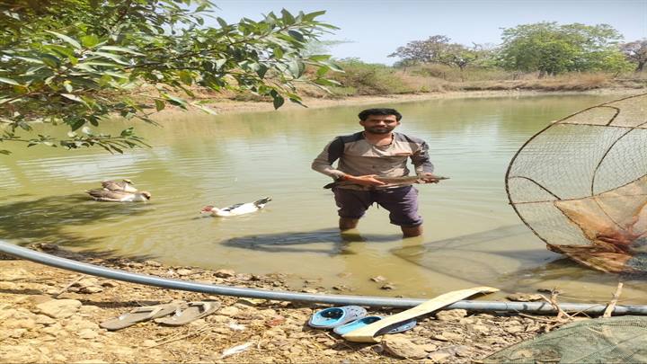 यशोदा को मत्स्य संपदा योजना से हुई 4 लाख की आय