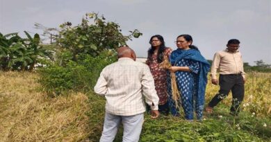 मैहर कलेक्टर ने असामयिक वर्षा से हुई फसल क्षति का किया निरीक्षण