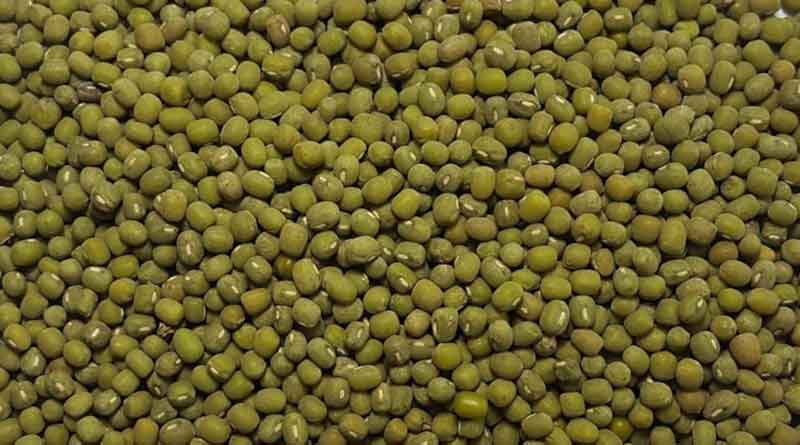 राजस्थान: MSP पर मूंग, मूंगफली, सोयाबीन और उड़द की ख़रीद 24 नवंबर से होगी शुरू, 3.12 लाख किसानों ने पंजीयन कराया