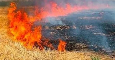 नरवाई जलाने वाले किसानों पर अब लगेगा अर्थदण्ड