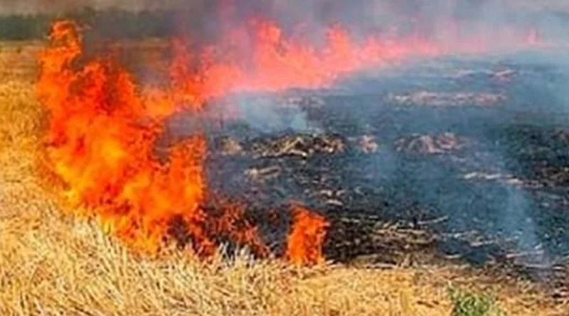 नरवाई जलाने वाले किसानों पर अब लगेगा अर्थदण्ड