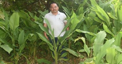 धर्मपाल सिंह को हल्दी की खुशबू से मिली नई पहचान