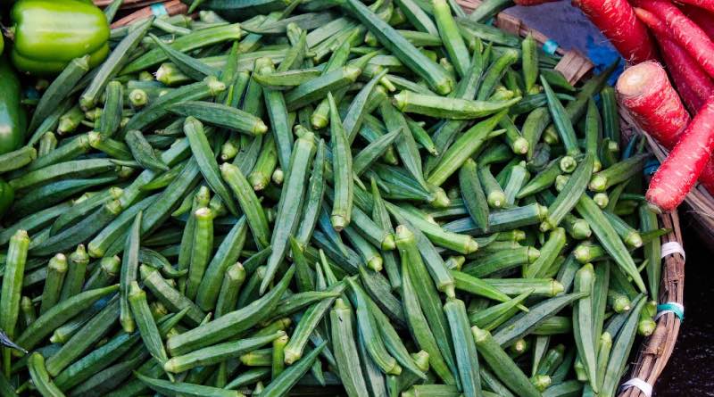 भोपाल में हर शनिवार लगेगा जैविक बाजार — 29 नवंबर से बड़ी शुरुआत