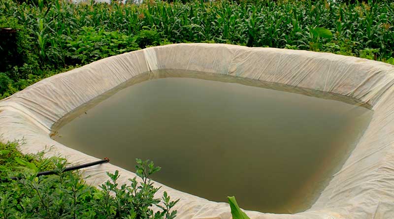 वर्षा जल संरक्षण के लिए राजस्थान सरकार द्वारा 7 हजार 959 डिग्गियों का निर्माण - कृषि मंत्री किरोड़ी लाल