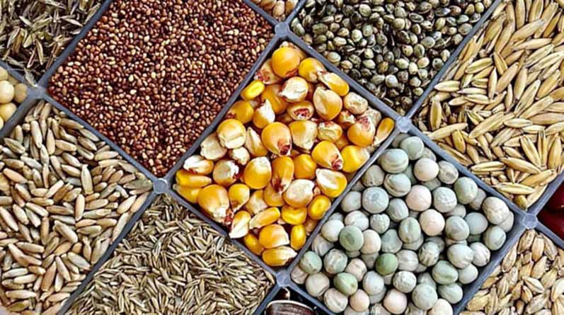 यूपी में 50 फीसदी छूट पर उन्नत किस्म के बीज उपलब्ध कराए जा रहे हैं