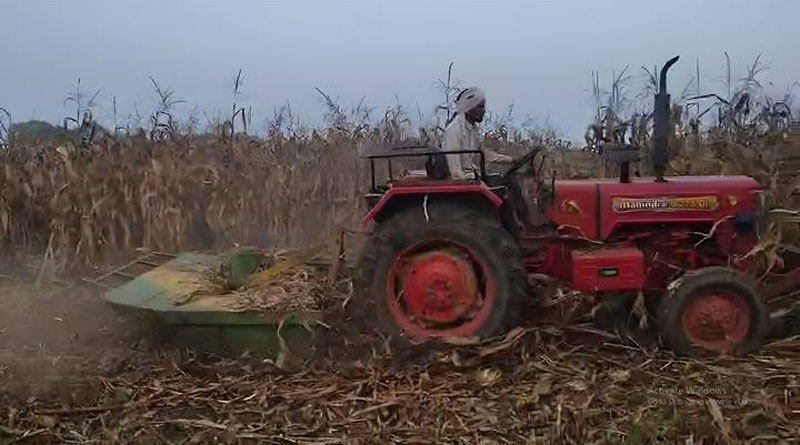 मक्के के खेतों में स्लेशर से नरवाई प्रबंधन का सफल प्रयोग