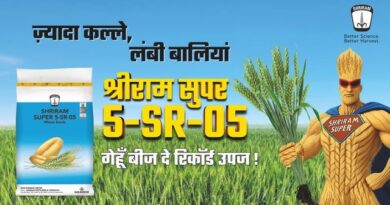 श्रीराम फार्म सॉल्यूशन की गेहूँ की कौन सी किस्म भूरा रतुआ और झुलसा रोग के प्रति प्रतिरोधी है?