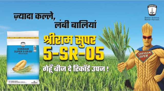 मेरे पास गेहूँ की बुवाई के लिए 4 एकड़ जमीन तैयार है, बुवाई के लिए एक अच्छी गेहूँ की किस्म सुझाए