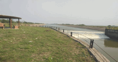 श्योपुर जिले में रबी फसल के लिए मिलेगा किसानों को पर्याप्त पानी