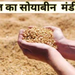  सोयाबीन मंडी रेट आज का (03 नवंबर 2025)