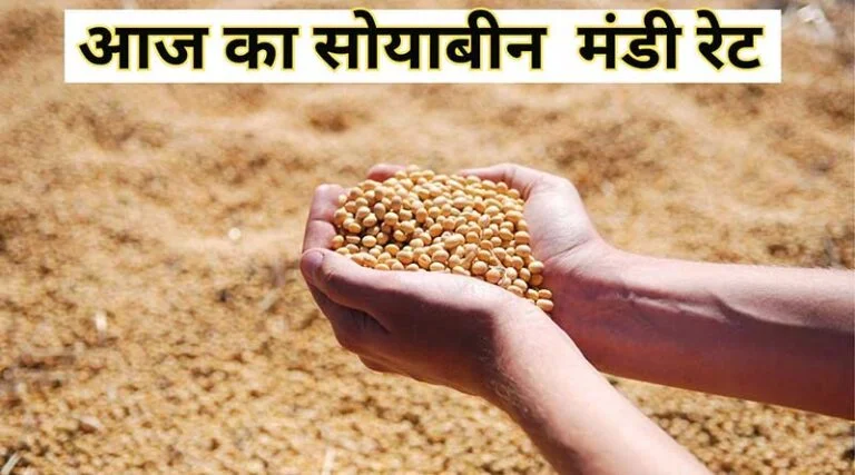 सोयाबीन मंडी रेट (16 नवंबर 2025)