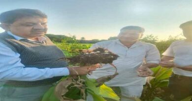 उप संचालक कृषि ने माधव कृषि फार्म का किया भ्रमण