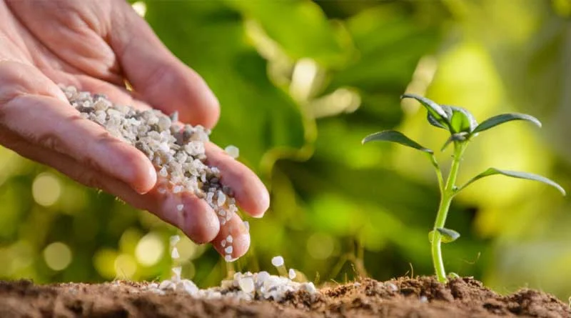 Solis 4515 2WD: 48 HP रेंज में ये है भारत का बेस्ट ट्रैक्टर, इंजन से लेकर टायर तक सभी फीचर्स जानिए