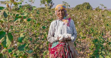 नए प्रस्तावित ड्राफ्ट सीड्स बिल 2025 के तहत सरकार किसानों के लिए उच्च-उपज देने वाले बीजों के आयात को आसान बनाने की तैयारी में नए प्रस्तावित ड्राफ्ट सीड्स बिल 2025 के तहत सरकार किसानों के लिए उच्च-उपज देने वाले बीजों के आयात को आसान बनाने की तैयारी में