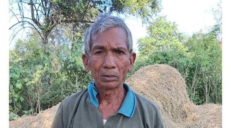 रायपुर : अच्छी बारिश और बढ़े समर्थन मूल्य से खिले किसानों के चेहरे, खेतों से खलिहान तक गूंज रही खुशियों की फसल