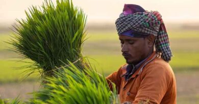 किसान भाइयों का इंतज़ार खत्म: PM किसान की 21वीं किस्त 19 नवंबर को होगी जारी, कृषकों के खातों में आएंगे 2-2 हजार 