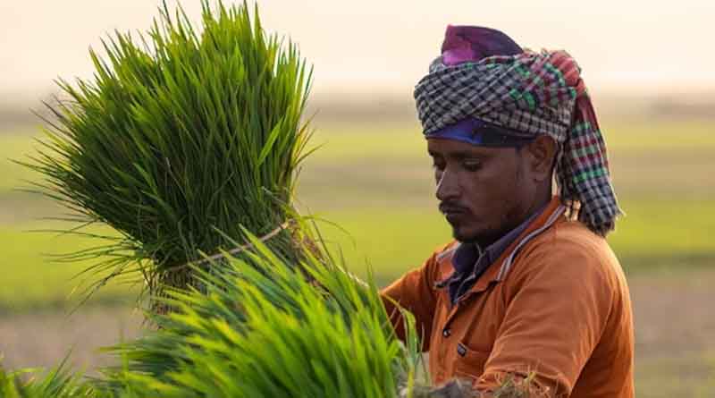 किसान भाइयों का इंतज़ार खत्म: PM किसान की 21वीं किस्त 19 नवंबर को होगी जारी, कृषकों के खातों में आएंगे 2-2 हजार 