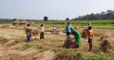 खरीफ 2026 से PMFBY में जंगली जानवरों से फसल नुकसान का कवर; किसानों को 72 घंटे में रिपोर्टिंग अनिवार्य