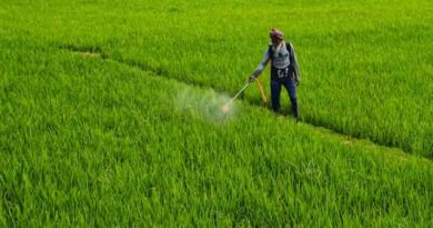 राजस्थान में किसानों के लिए कारगार सिद्ध हो रही है चैटबॉट प्रणाली