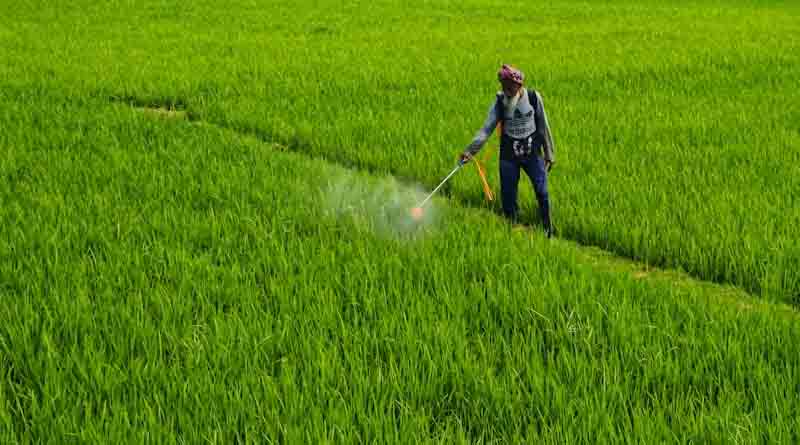 राजस्थान में किसानों के लिए कारगार सिद्ध हो रही है चैटबॉट प्रणाली