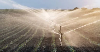 सिंचाई होगी सस्ती: मध्य प्रदेश सरकार किसानों को सोलर पंप पर दे रही 90% तक अनुदान, जानें पूरी योजना