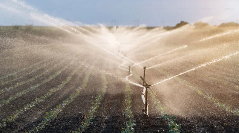 सिंचाई होगी सस्ती: मध्य प्रदेश सरकार किसानों को सोलर पंप पर दे रही 90% तक अनुदान, जानें पूरी योजना