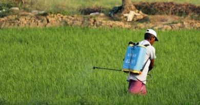 सीहोर में कृषि विभाग की कार्रवाई, घटिया कीटनाशक बनाने वाली 9 कंपनियों के उत्पादों विक्रय पर रोक, 1 का लाइसेंस रद्द