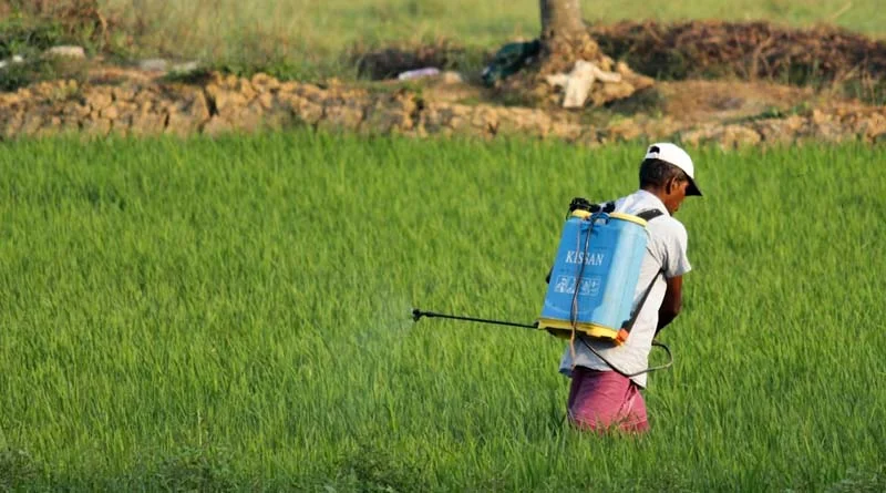 सीहोर में कृषि विभाग की कार्रवाई, घटिया कीटनाशक बनाने वाली 9 कंपनियों के उत्पादों विक्रय पर रोक, 1 का लाइसेंस रद्द