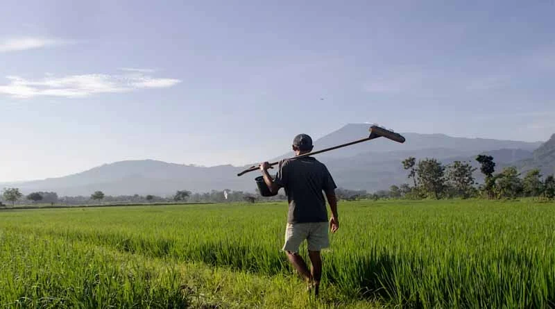 स्टोन पिकर व स्ट्रॉ बेलर सहित चार कृषि यंत्रों पर अनुदान के लिए बुरहानपुर में आवेदन शुरू, किसान जल्द करें पंजीकरण