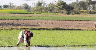 यूपी में 1.66 करोड़ किसानों ने कराया फार्मर रजिस्ट्रेशन, कृषि मंत्री ने तेजी से काम के दिए निर्देश  