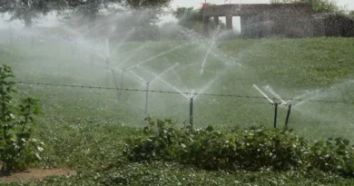 छत्तीसगढ़ में 14 नई सिंचाई परियोजनाओं को मिली मंजूरी, 1 लाख हेक्टेयर कृषि भूमि होगी सिंचित