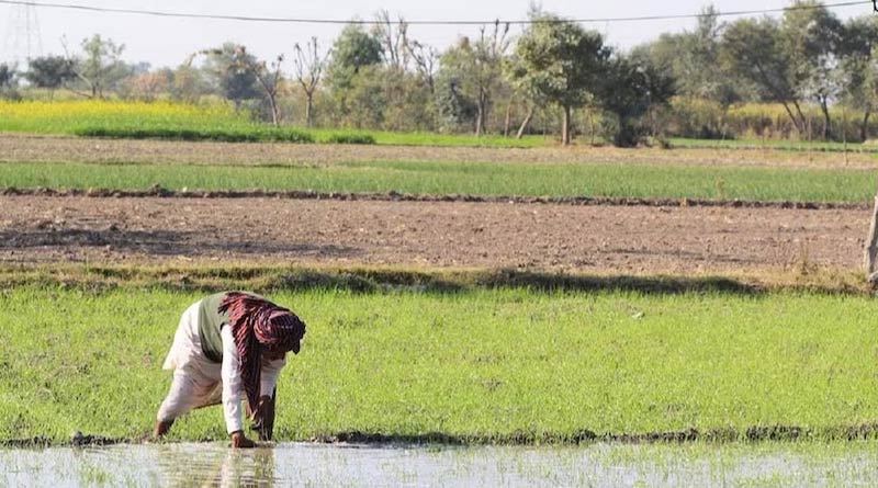 यूपी में 1.66 करोड़ किसानों ने कराया फार्मर रजिस्ट्रेशन, कृषि मंत्री ने तेजी से काम के दिए निर्देश  
