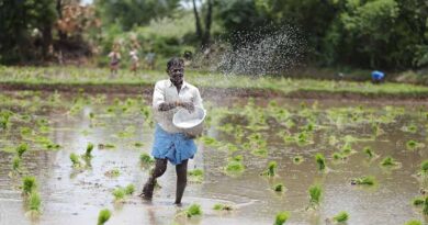 रासायनिक और जैविक उर्वरक का संतुलित इस्तेमाल से किसान पा सकते हैं अधिक उपज, कृषि विभाग ने जारी की विशेष सलाह