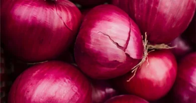 आंध्र प्रदेश सरकार का बड़ा ऐलान: प्याज किसानों को मिलेगा ₹50,000 प्रति हेक्टेयर मुआवजा