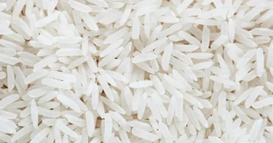 वैश्विक स्तर पर महकेगा छत्तीसगढ़ का चावल, फोर्टिफाइड राइस की पहली खेप कोस्टा रिका रवाना