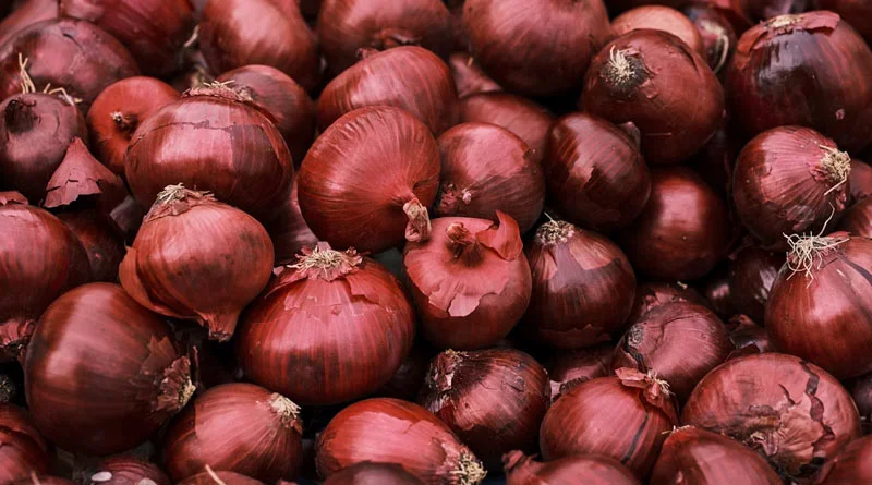 प्याज उत्पादन में 27% की रिकॉर्ड वृद्धि, कृषि मंत्री शिवराज ने बागवानी फसलों का तृतीय अग्रिम अनुमान किया जारी